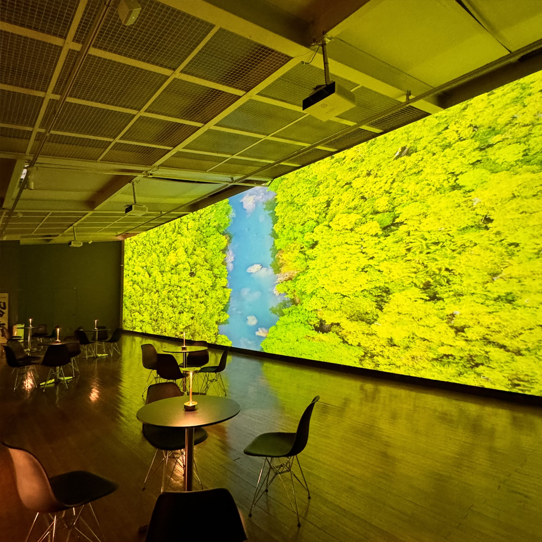 Silver Screen — the immersive projection hall.